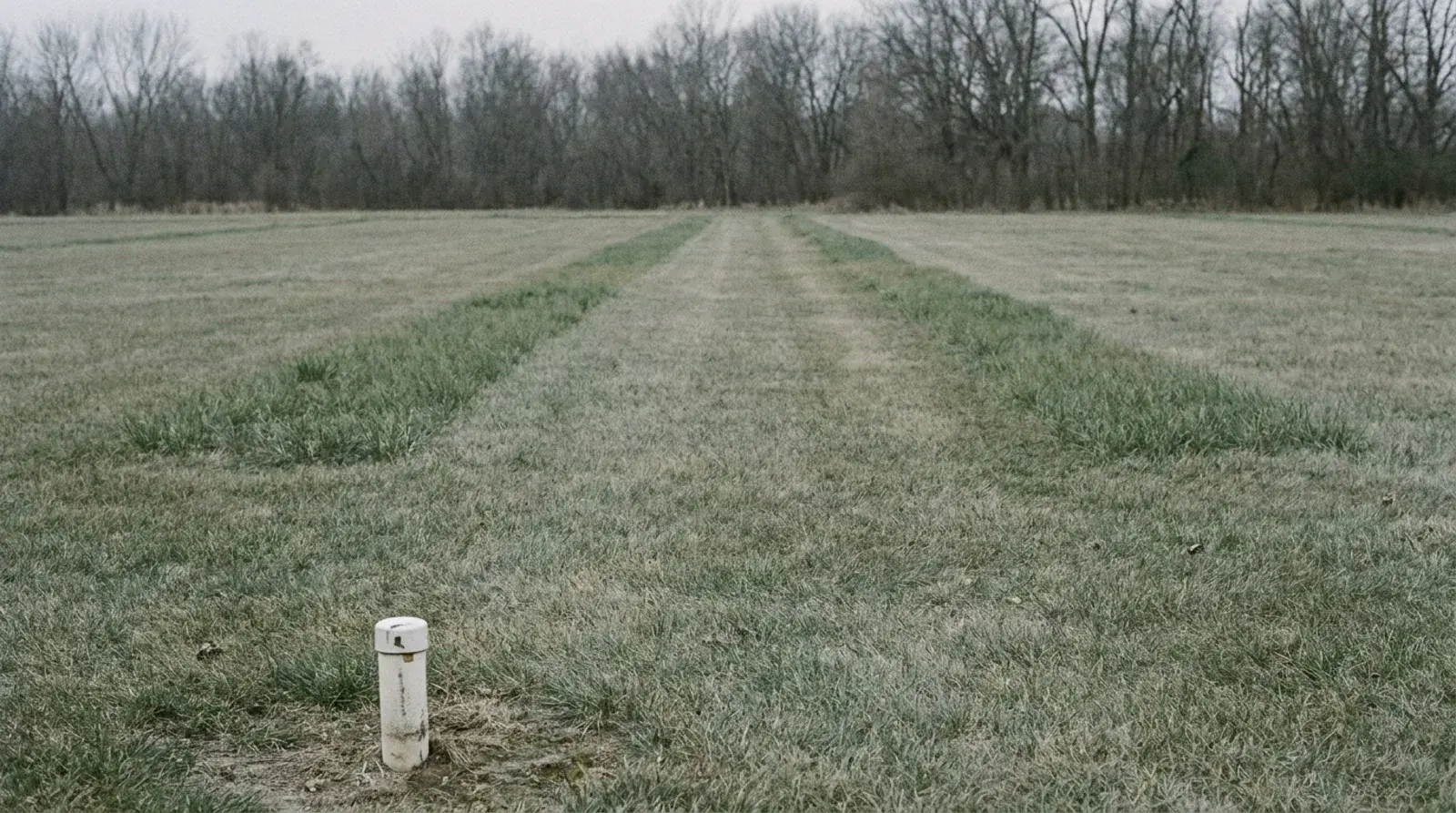 A rural back yard drain field, the buried trenches showing as darker strips in the grass